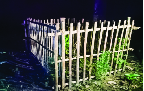 Image of মো: হৃদয় আহমেদ